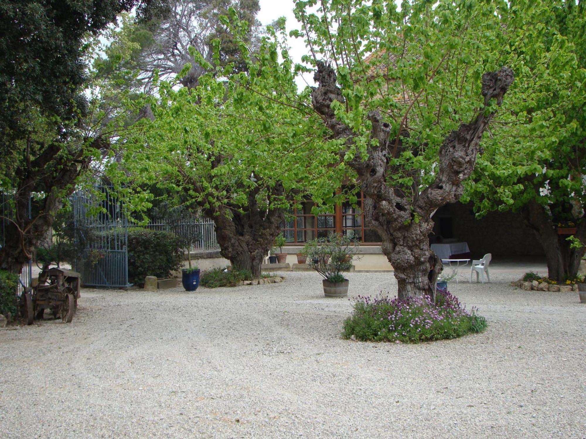 Chateau Pech-Celeyran Salles-dʼAude Zewnętrze zdjęcie